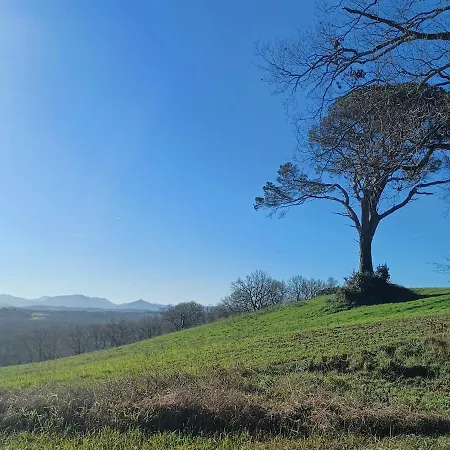 公寓 Southern Landes Basque Country Saint-Barthelemy (Landes)